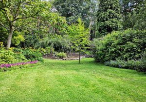 Optimiser l'expérience du jardin à Les Angles-sur-Corrèze